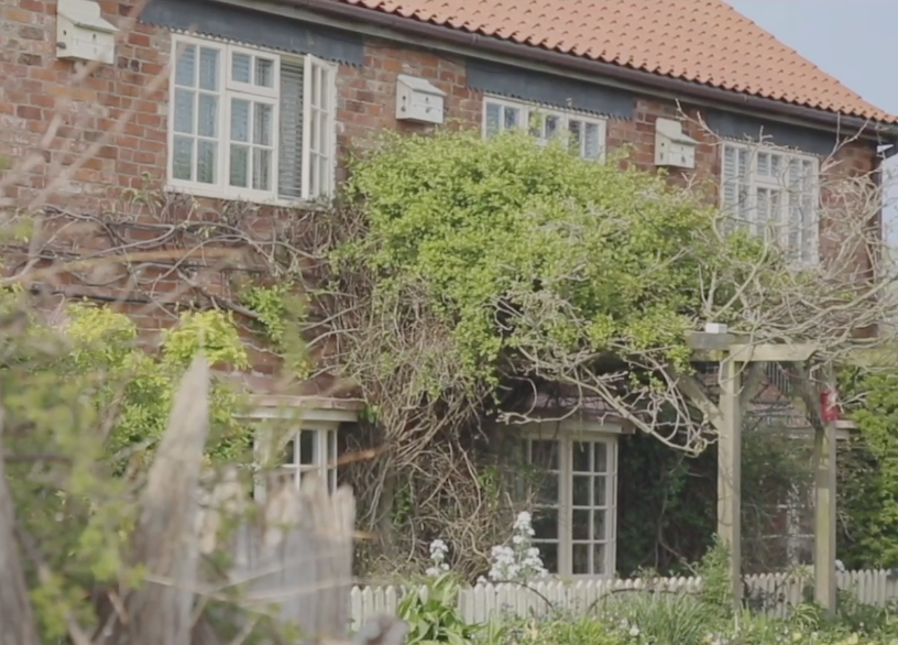 Image of a traditional style cottage with greenery growing over the porch