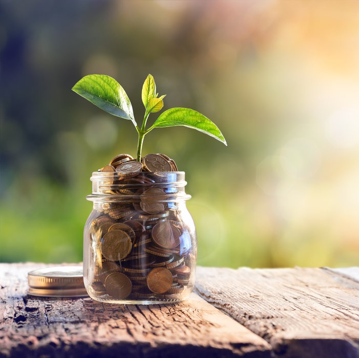 Glass jar with coins in with a plant growing from the top