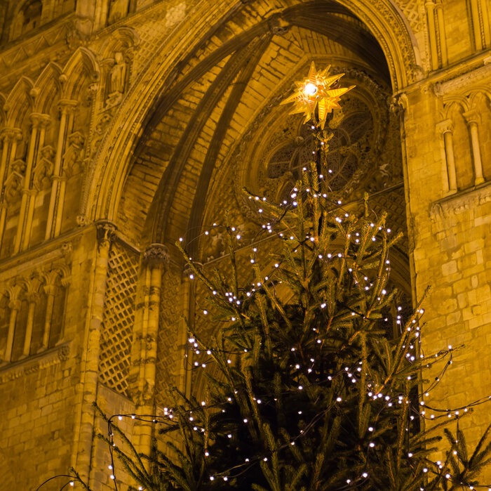 Christmas tree in front Lincoln Cathedral