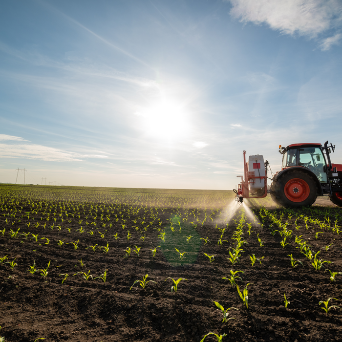 tractor farming a field of crops