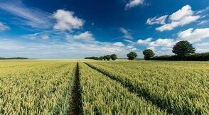 Sustainable Farming Incentive 2023: Enhanced Program Offers Flexibility and Support for Farmers