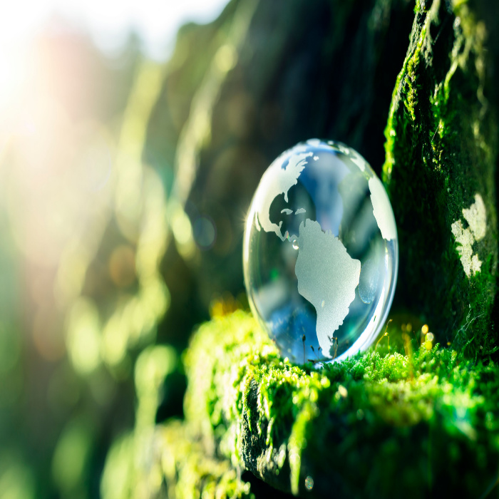 SMEs are integral to achieving global sustainable development goals