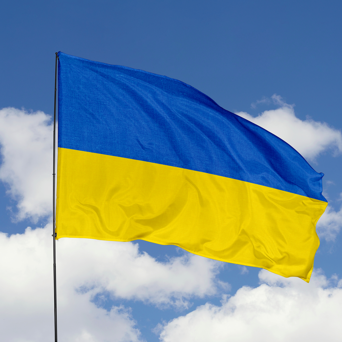 Lincolnshire Businesses can now show their support for Ukraine’s recovery by signing the Ukraine Business Compact 2023.