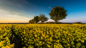 Stepping out this summer in Greater Lincolnshire and Rutland