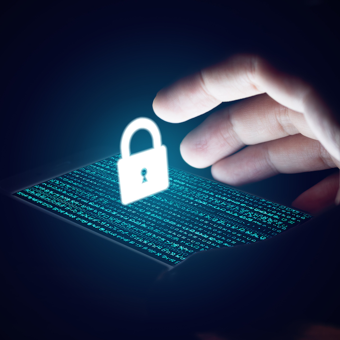 Cybersecurity for Small Businesses
