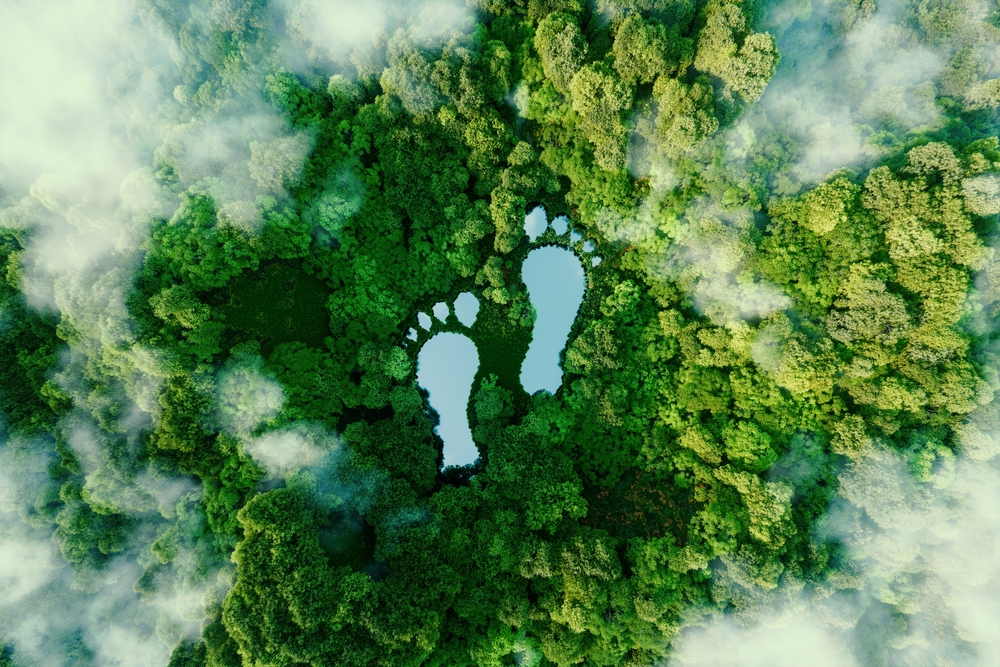 The Carbon Footprint Challenge