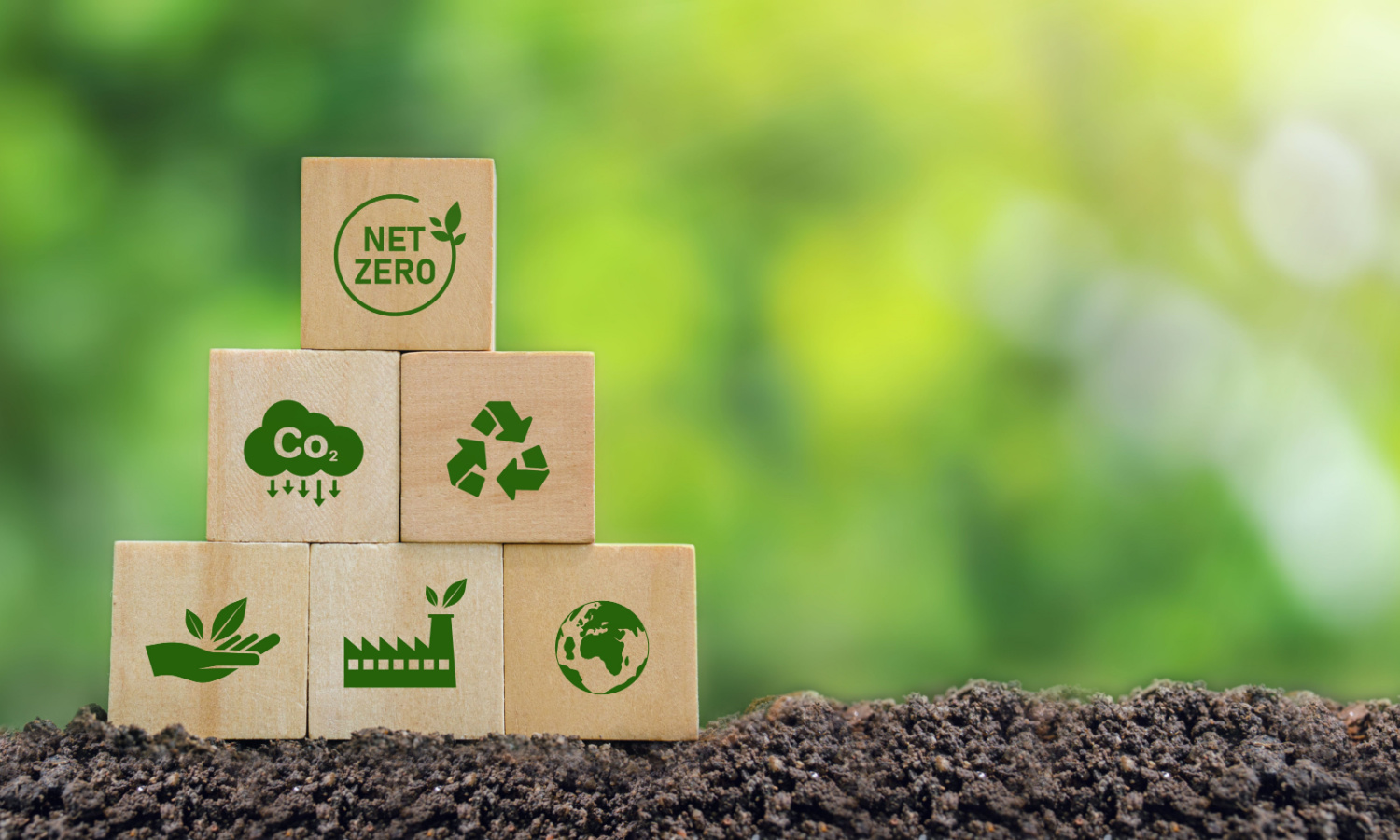 The UK Net Zero Business Census