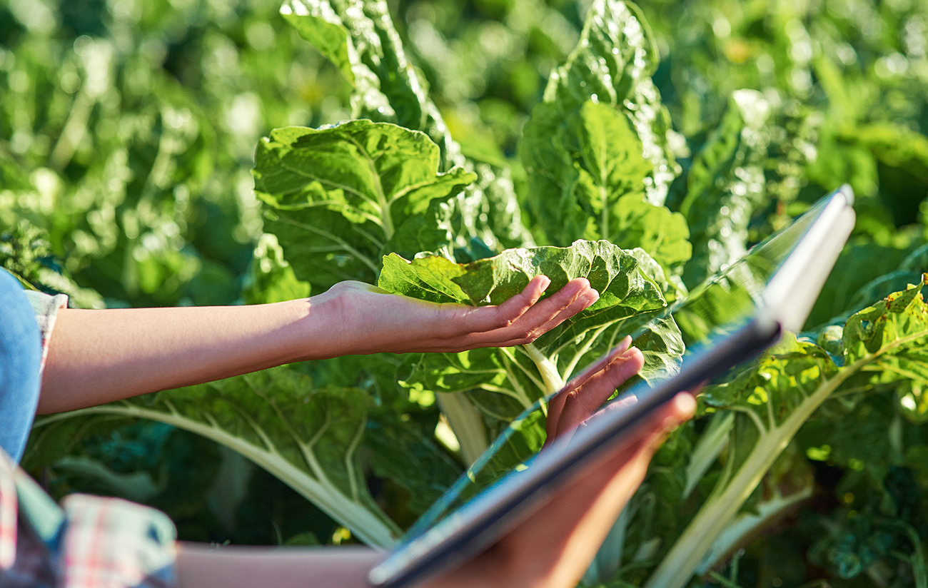 Agrifood