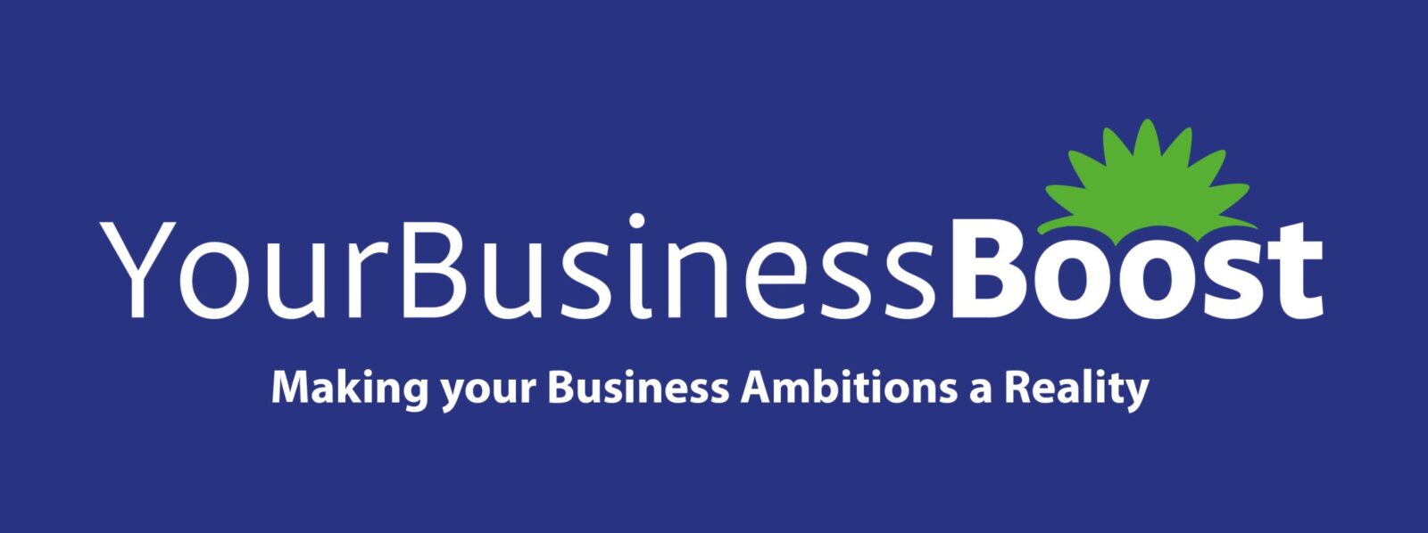 logo image for the your business boost programme