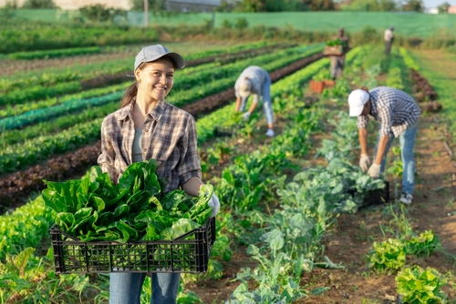 The Lincolnshire Farm Support Programme Is Here to Help