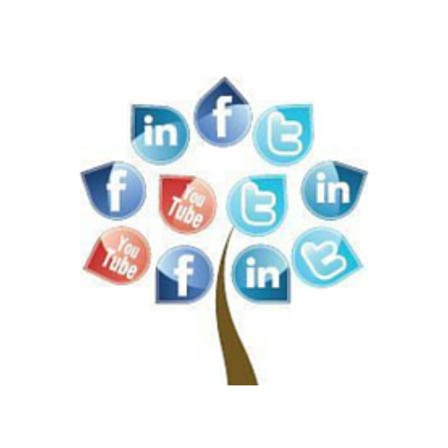 Social Media Lincs Logo