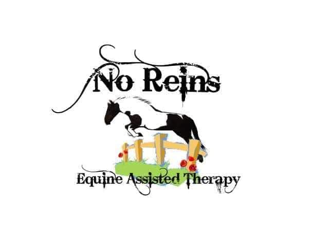 No Reins CIC Logo