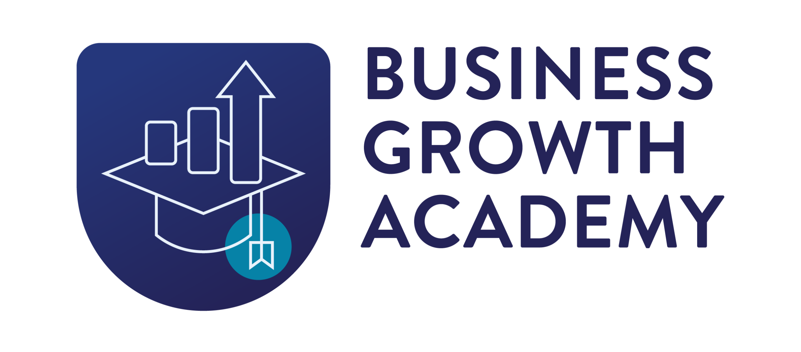 BL - Business Growth Academy Icon (1)