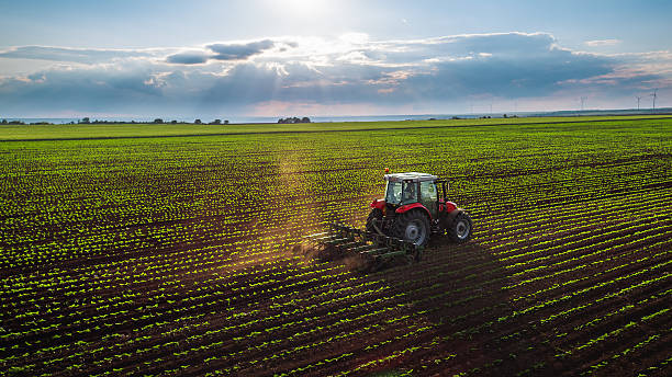 Tractor in a field with clouds in a sunshine filled sky